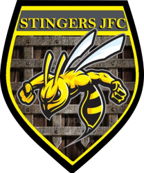 Bramley Stingers badge